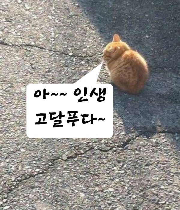  [교훈 글귀.명언] 글귀 2개