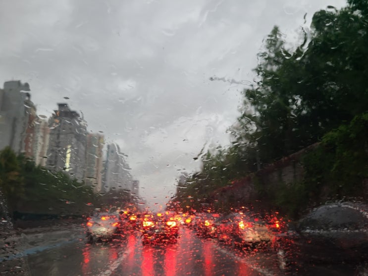  [주간일기 챌린지] 블챌 일기 - 모두 해냈다!