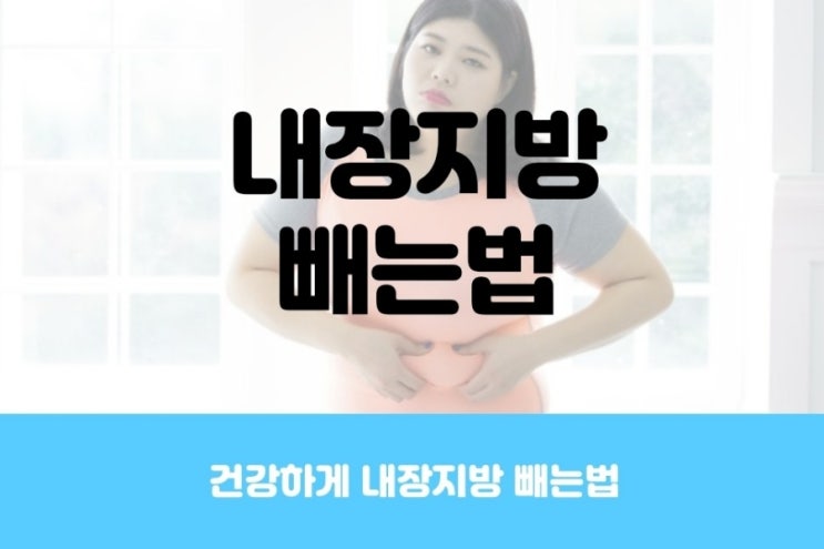 건강하게 내장지방 빼는법