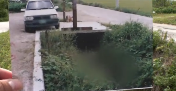  부산 장기 미제사건 미용사 살인사건 [부산 농수로 살인사건]다시보기 영상 안내