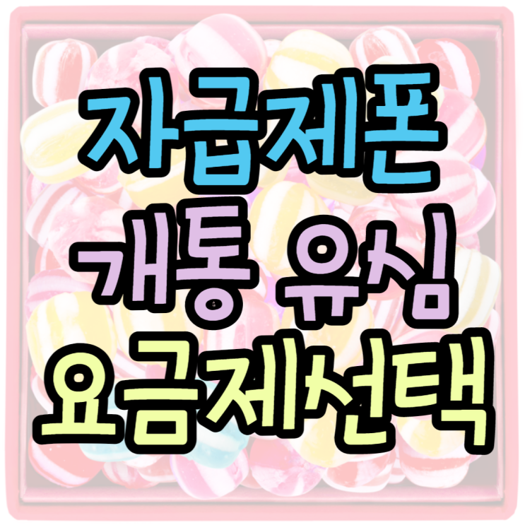 자급제폰 개통부터 유심, 요금제 설정방법 알아보기