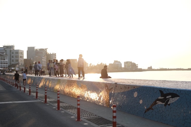  제주도 호캉스 / 함덕 해수욕장 앞 제주 오션뷰호텔 유탑유블레스 투숙  및 제주 오마카세  이용 후 바닷가 둘러보기