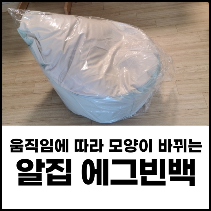 빠르고 안전한 롯데택배 수령후기(feat. 알집 에그빈백)