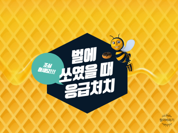  벌에 쏘였을 때 응급처치 방법과 벌집 없애기