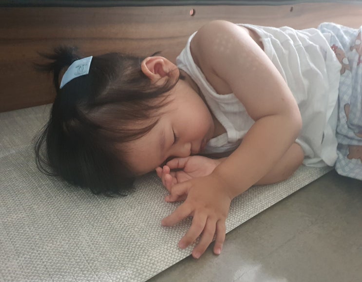 [블챌] 주간일기#4 아들 감기, 장마 누전, 짐 정리