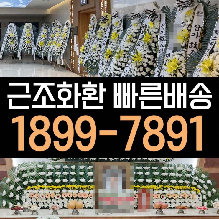  대전선병원장례식장 상조화환 부고화환 조의 고인 추모 3단조화 꽃집