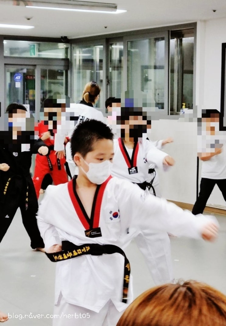 초등 아들 태권도 승품단심사 초등 아들 태권도 승품단심사