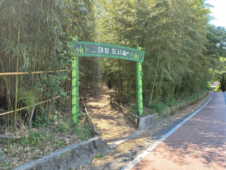 장유 산책, 아이와 놀러가기 좋은 곳 대청 도시 숲 유아 숲 체험원