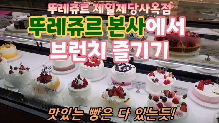  뚜레쥬르 케이크 본사에서 브런치 즐기기 샌드위치 샐러드 빵 다 맛있어 보여 / 제일제당사옥점