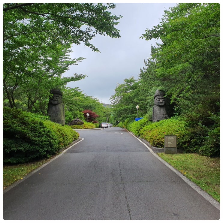  제주 위호텔 WE 서귀포 호텔 산책로 걷기 좋은 길 산림욕 하기 좋아.