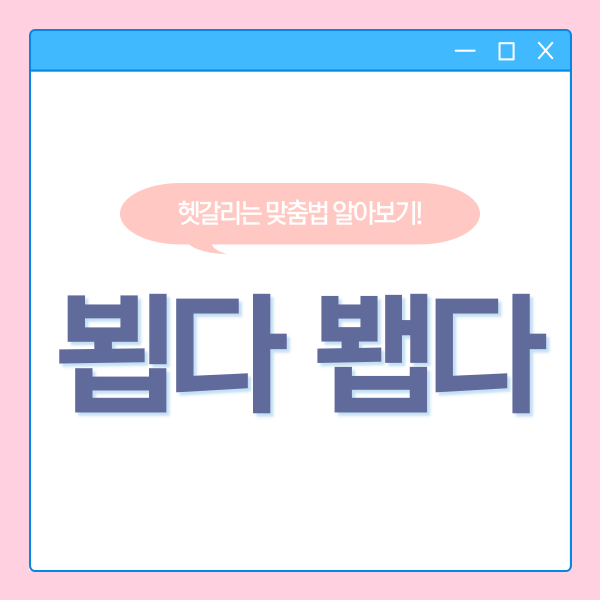  뵙다 봽다, 헷갈리는 맞춤법 모음!