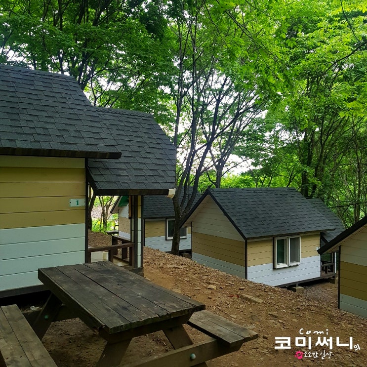 홍천 가리산자연휴양림 야영장과 3인실 방갈로인 소형산막에서 일박 (Feat.숲속의 집)
