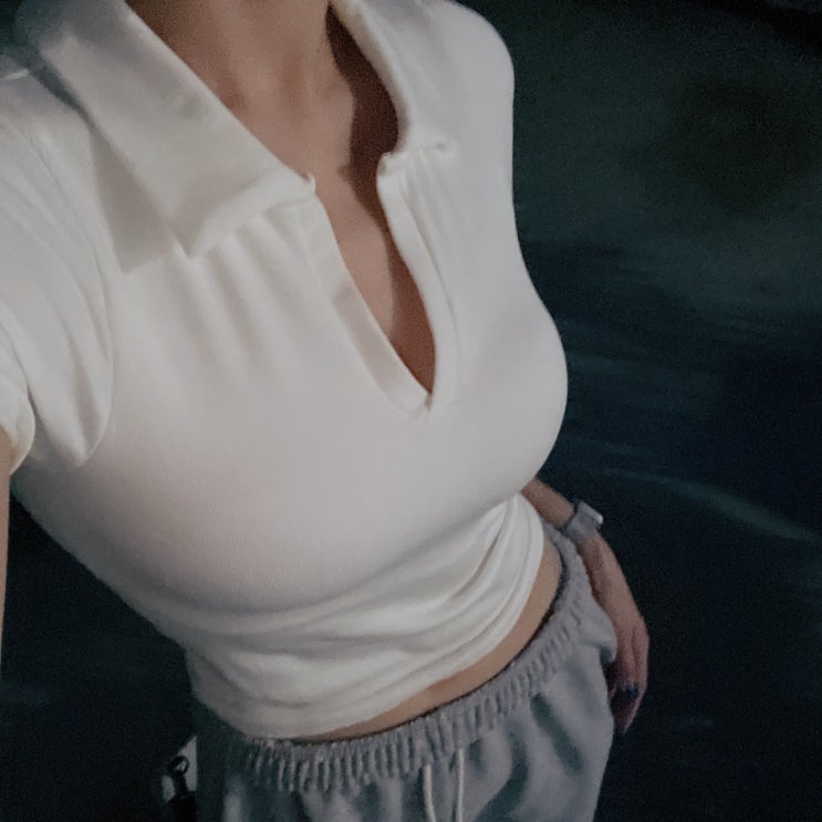  단스킨 치어풀 카라 크롭탑 후기 :: 카라크롭탑은 깔별로 쟁여야합니다