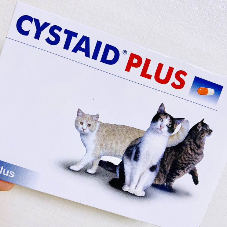 고양이 영양제 : 시스테이드 플러스 / 특발성 방광염, 슬러지 예방