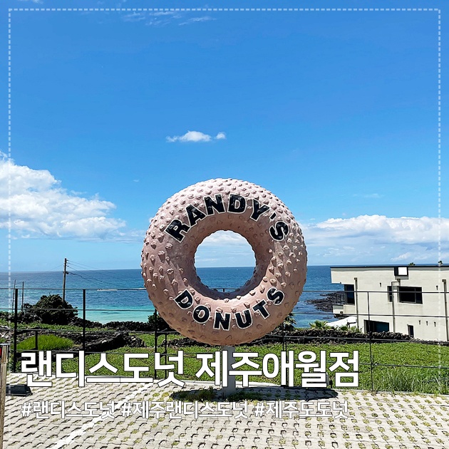  제주핫플, 제주 랜디스도넛 방문후기 #내돈내산