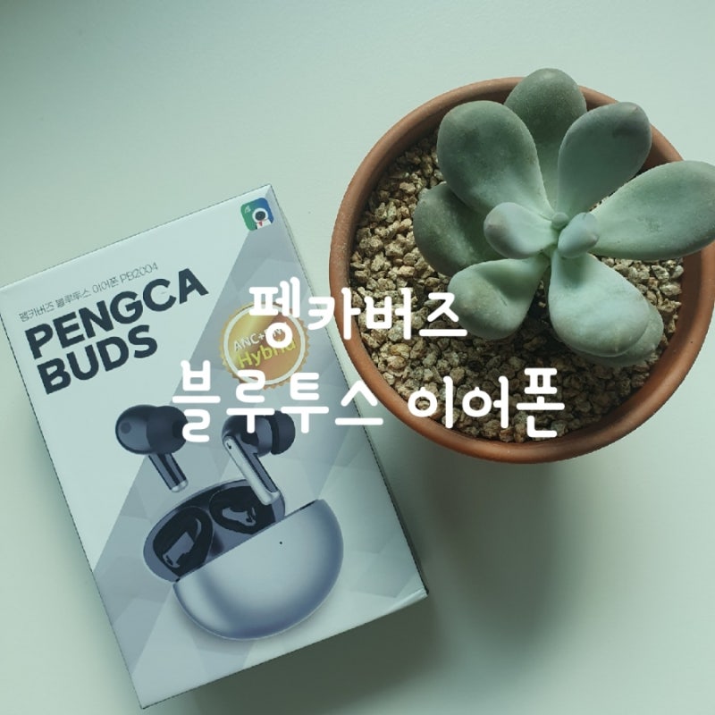 무선 블루투스 이어폰 펭카 버즈 가성비 좋은 무선이어폰 펭카 버즈