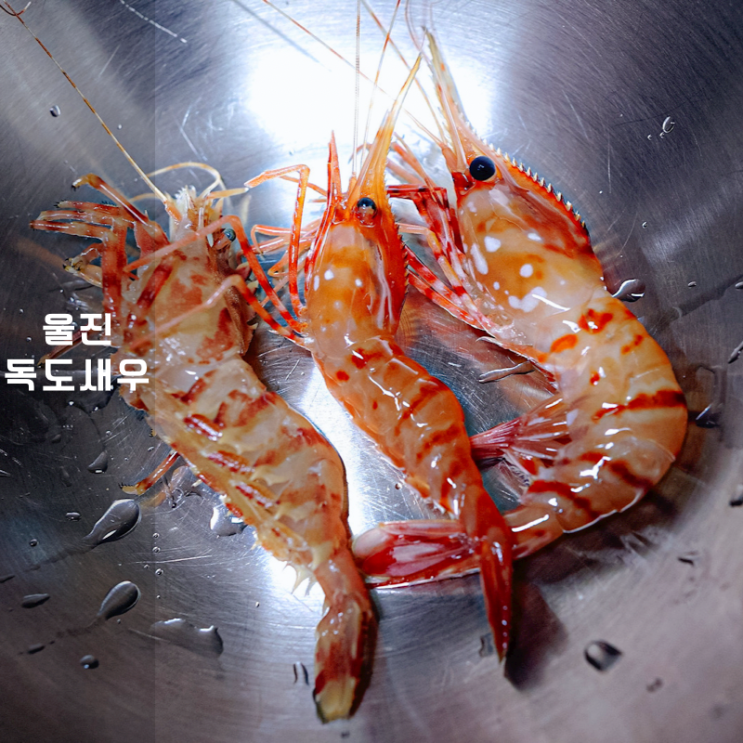  울릉도 독도새우 잘하는 울진죽변항 맛집 금성수산