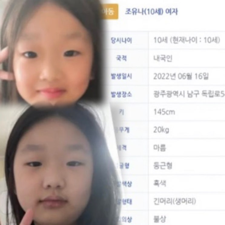 전남 완도 실종 사건 일가족 농촌 한달 체험 연락 두절 아우디 차량번호 제발 무사하길