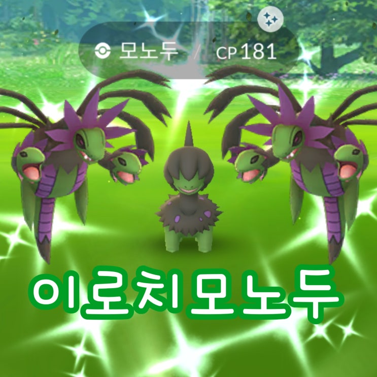  포켓몬고 커뮤니티데이 이로치 모노두 진화 삼삼드래 잡아요