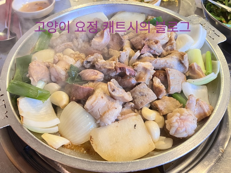  6월 셋째주 블챌