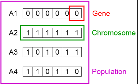  YOLOv5 Hyperparameters & Evolve & Genetic Algorithm