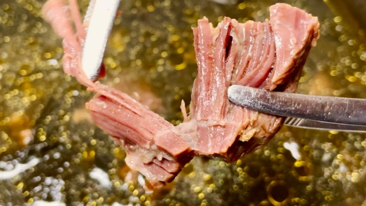 기꼬만혼쯔유 활용:소고기미역국 맛있게 끓이는 법:웰빙구시다