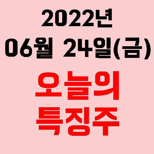  오늘의 시장 특징주 2022년 06월 24일(금)