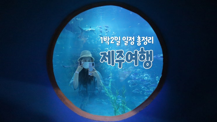 시각장애인과 함께하는 1박2일 제주도 여행(아쿠아플라넷, 스카이워터쇼 등) 시각장애인과 함께하는 1박2일 제주도 여행(아쿠아플라넷, 스카이워터쇼 등)