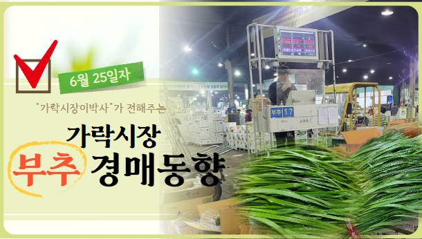 [경매사 일일보고] 가락시장 6월 25일자 "부추" 경매동향을 살펴보겠습니다!