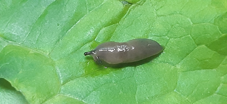  충남대 아싸의 주간 일기