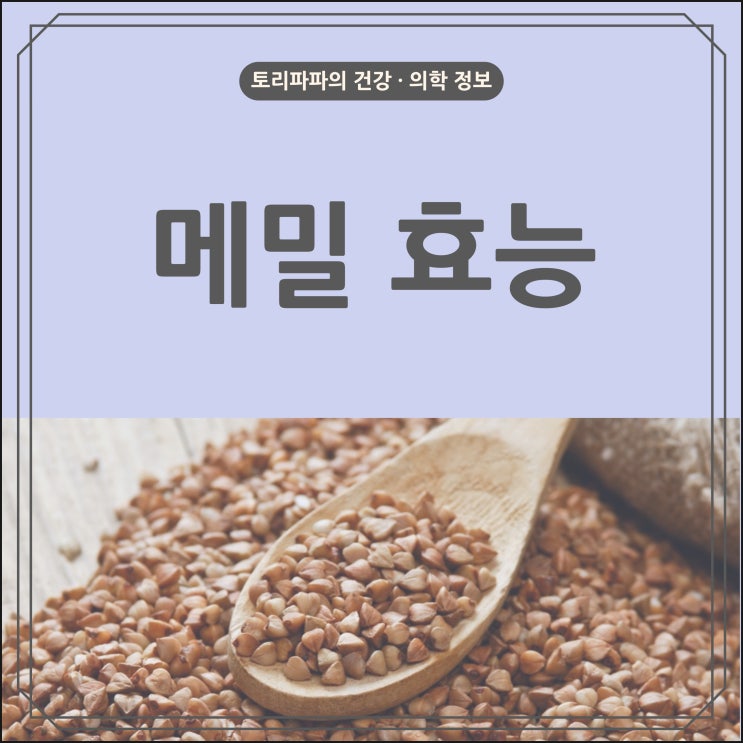  찬 성질을 가지고 있어 여름과 잘 어울리는 식재료 '메밀' 효능