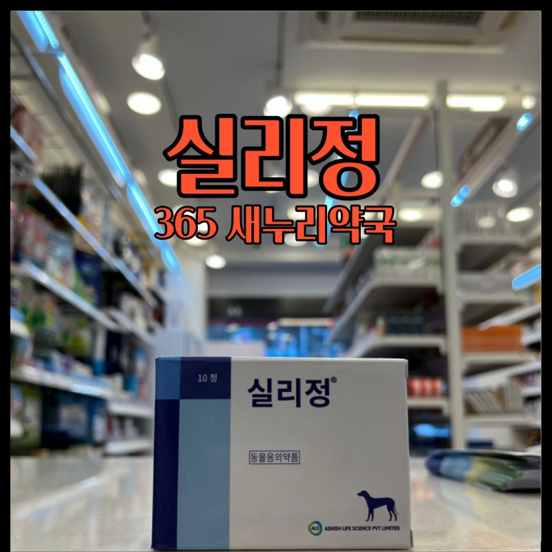실리정, 강아지 폐동맥 고혈압에 의한 심부전 치료제