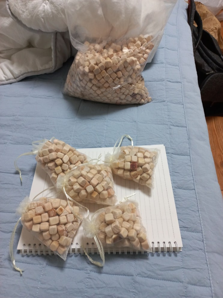  온다숲 천연 옷장 방향제 편백큐브 후기