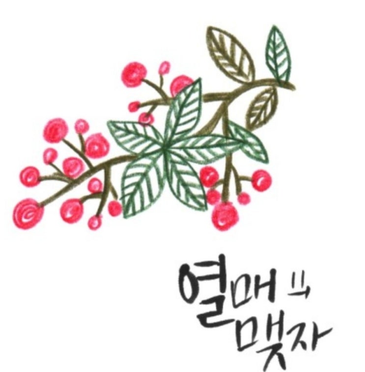  성경묵상 감사기도 창세기 3장 4장 5장