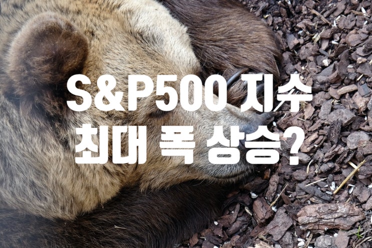 미국 뉴욕 증시 S&P500 지수 2년래 최대폭 상승, 주식시장 상승의 신호탄 인가? 단기적 기술적 반등인가?