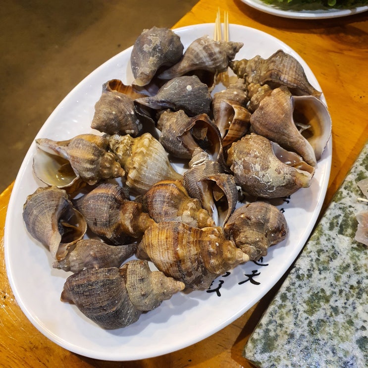  새절역 맛집 응암동 먹자골목 가성비 좋은 소문난 간이 횟집