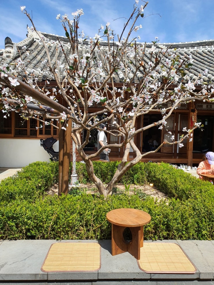  전주 한옥마을 사진 찍기 좋은 곳 카페 이르리