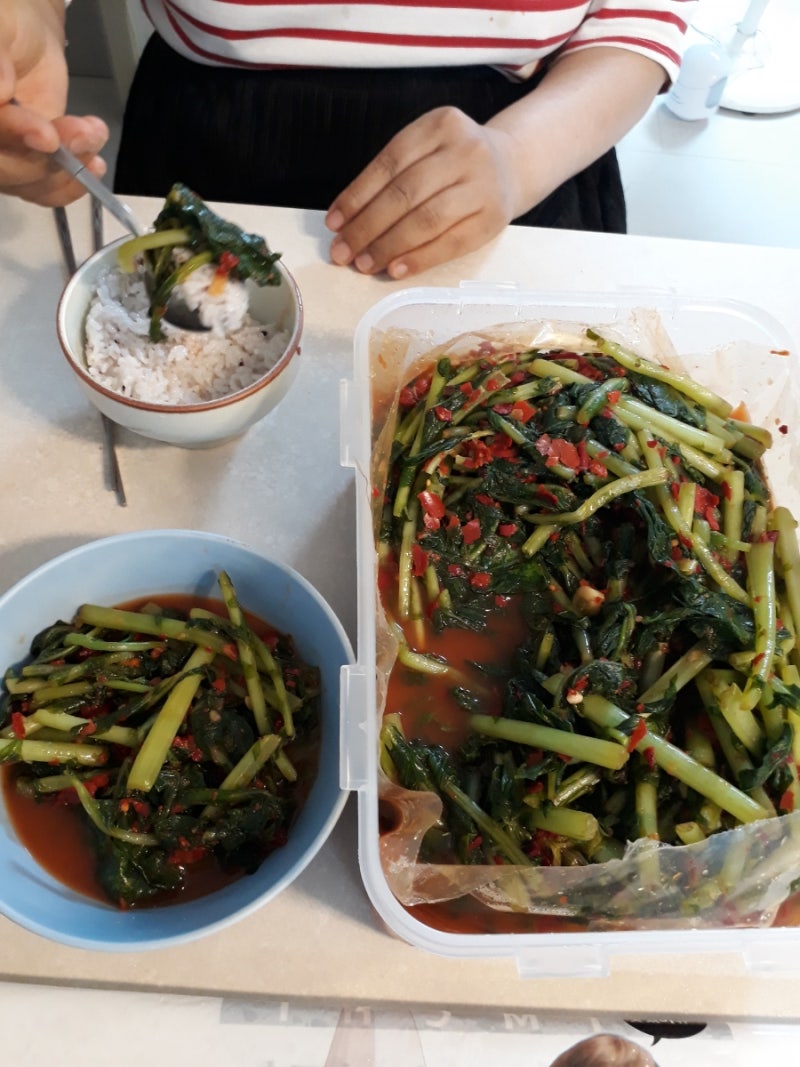 팽현숙김치 팽락닷컴 열무김치 깍두기 3kg