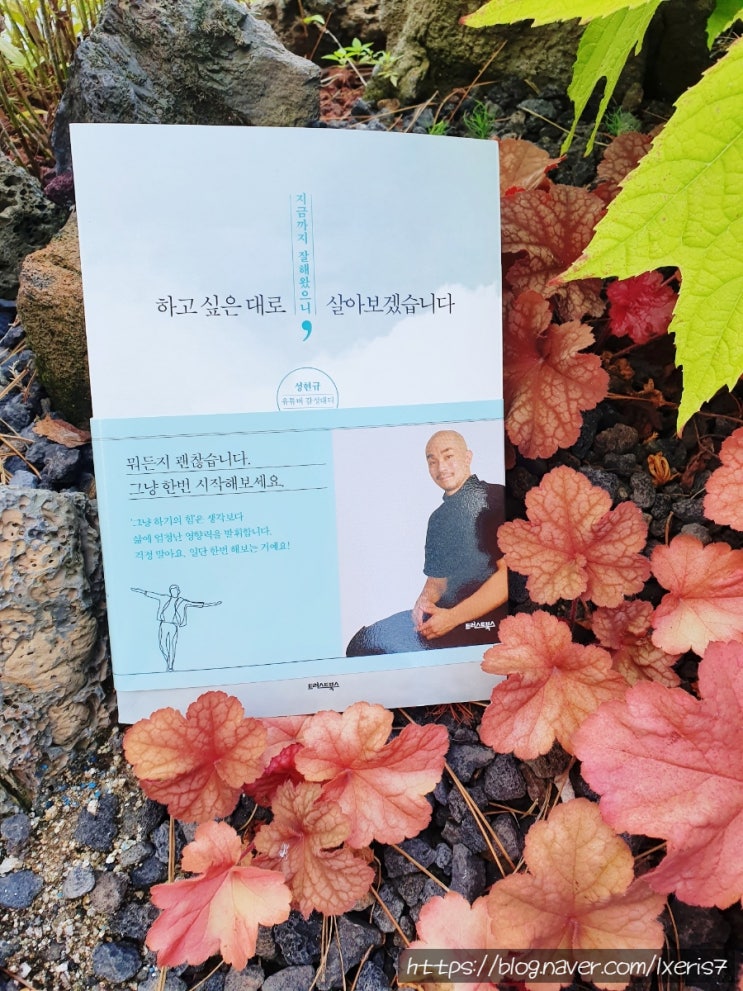  책 서평- 지금까지 잘해왔으니, 하고 싶은 대로 살아보겠습니다