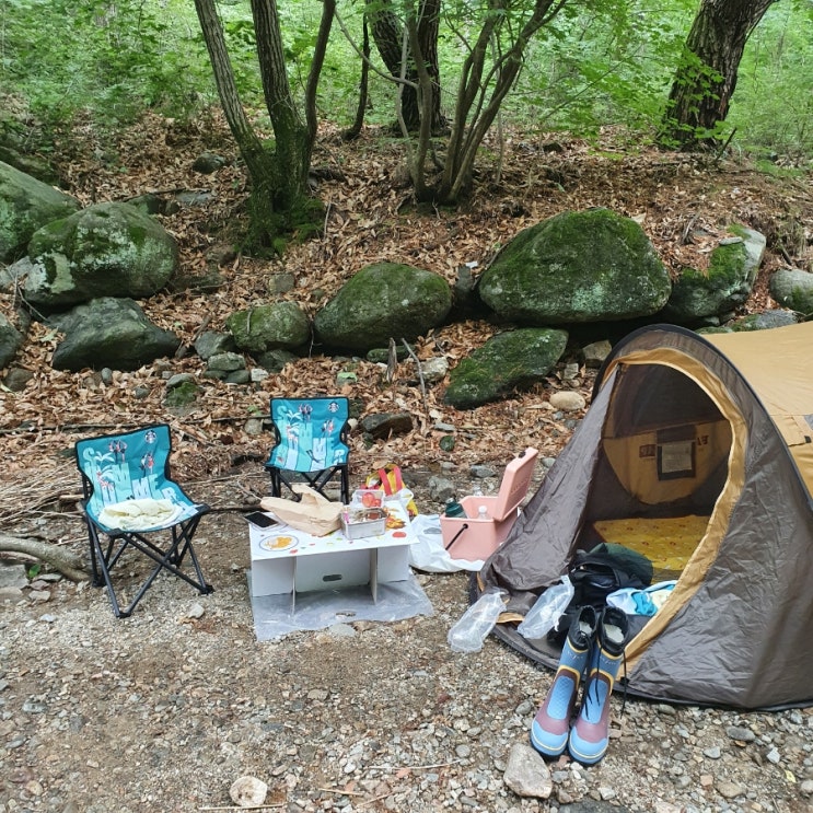  [블챌]6월 셋째주 : 독서, 여행준비, 요리하기 그리고 여름즐기기