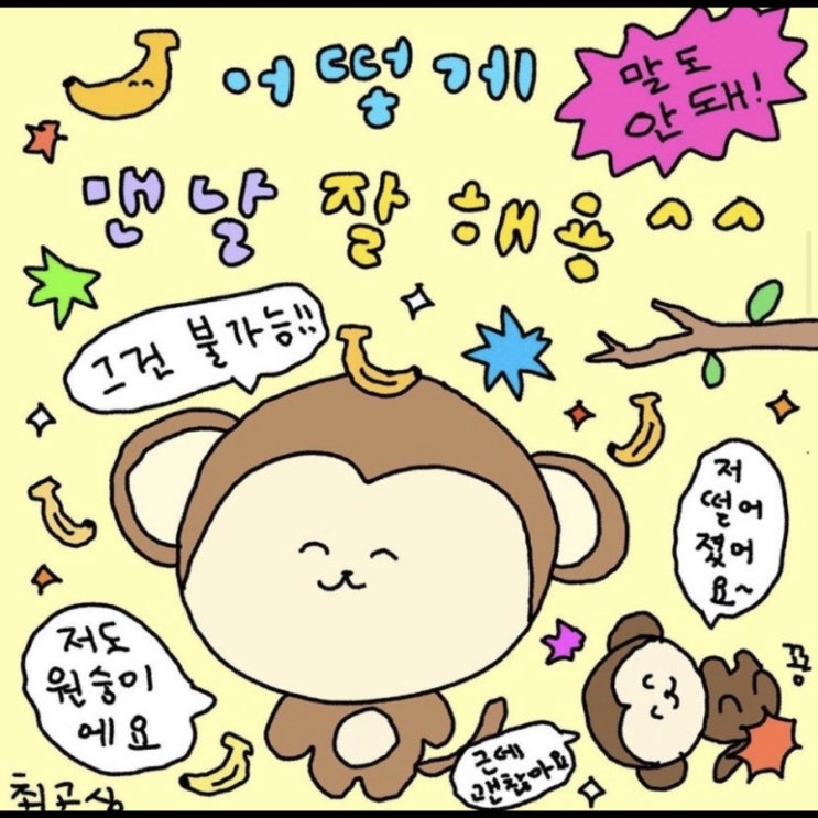  이번 주는 내가 제일 잘 놀아
