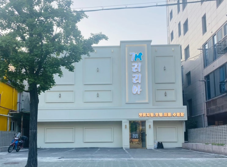  송파 애견호텔 개러리아