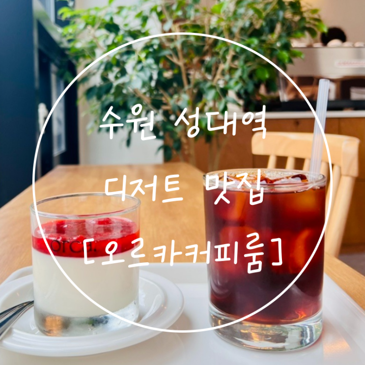  수원 성균관대역 율전동 신상카페 내돈내산 '오르카커피룸'