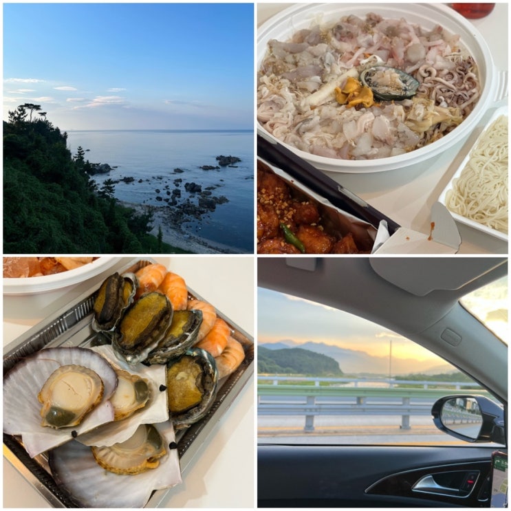  속초 중앙시장 회포장 맛집 신선하네요.