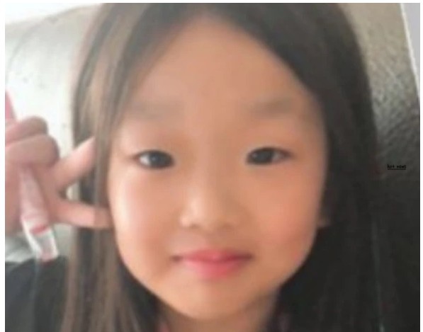 제주도 한달살이 떠난 광주 초등생 일가족 3명 완도서 실종 (차량 은색 아우디 부모 직업)