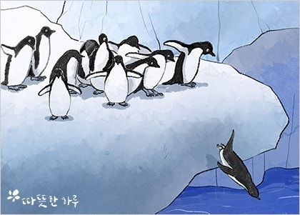  퍼스트 펭귄 이야기....