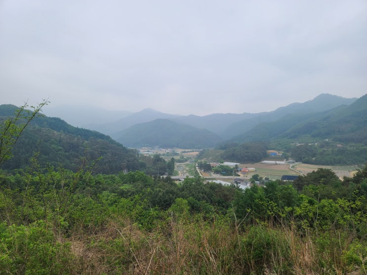 당일치기 낙산사 여행기