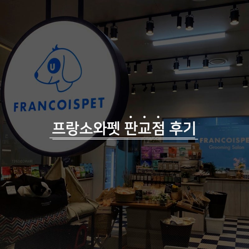 사진 6