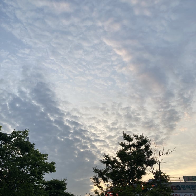  [블챌 주간일기] 6월 셋째주 : 먹부림 가득한 일주일