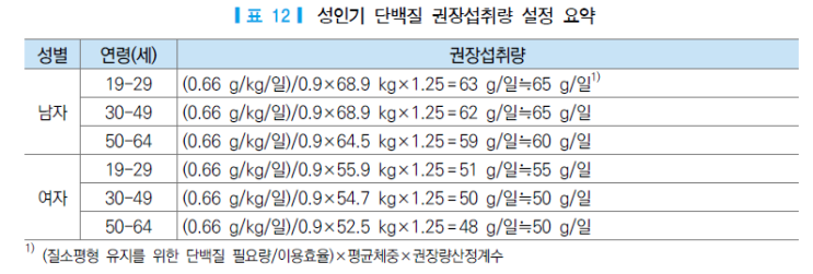  의사가 알려주는 단백질 보충제 적정량, 복용 타이밍, 신장 부작용 (논문 근거)